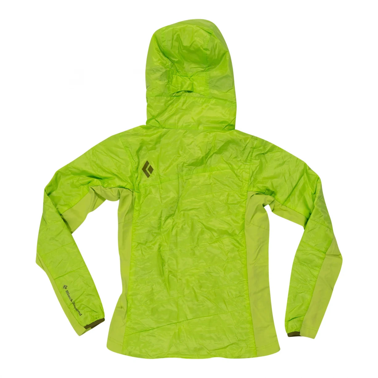 SAloe Green