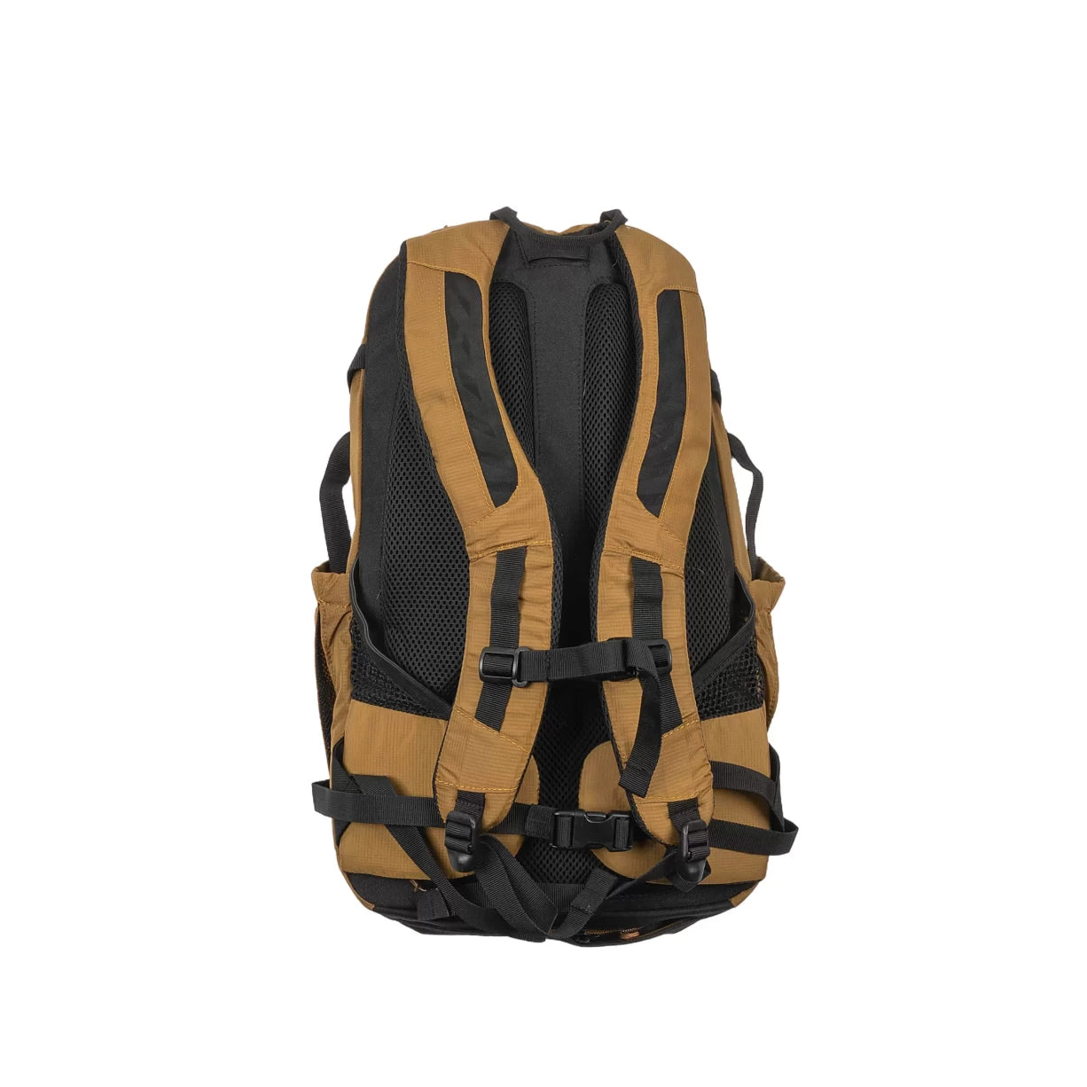 30 LBronze