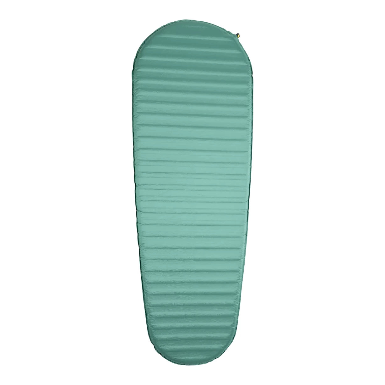 Regular WideGreen