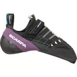44.5Black/Violet