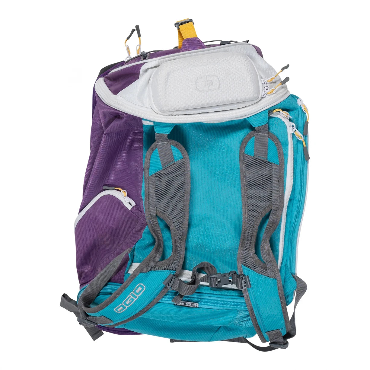 49Purple/Blue