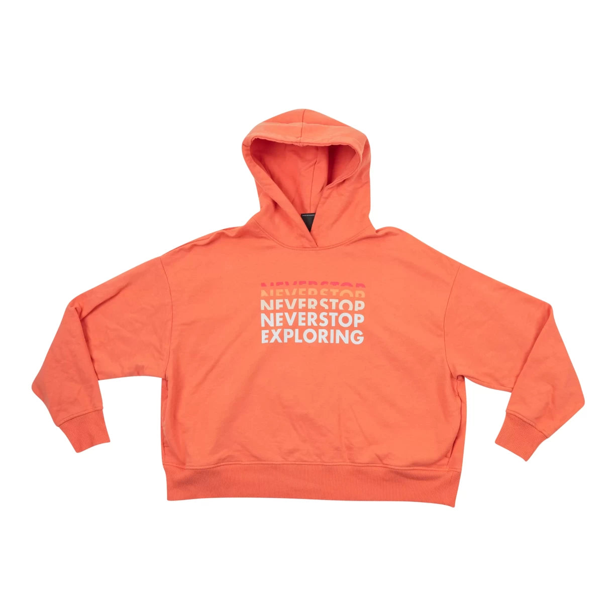 パーカー・フーディ THE NORTH FACE*LOGO PLAY RECYCLED PULLOVERHOODIE*NF0A5J92DYY The North Face Logo Play Hoodie - Women's – Geartrade.com