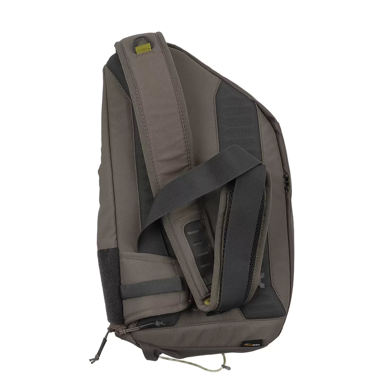 18 LBrown