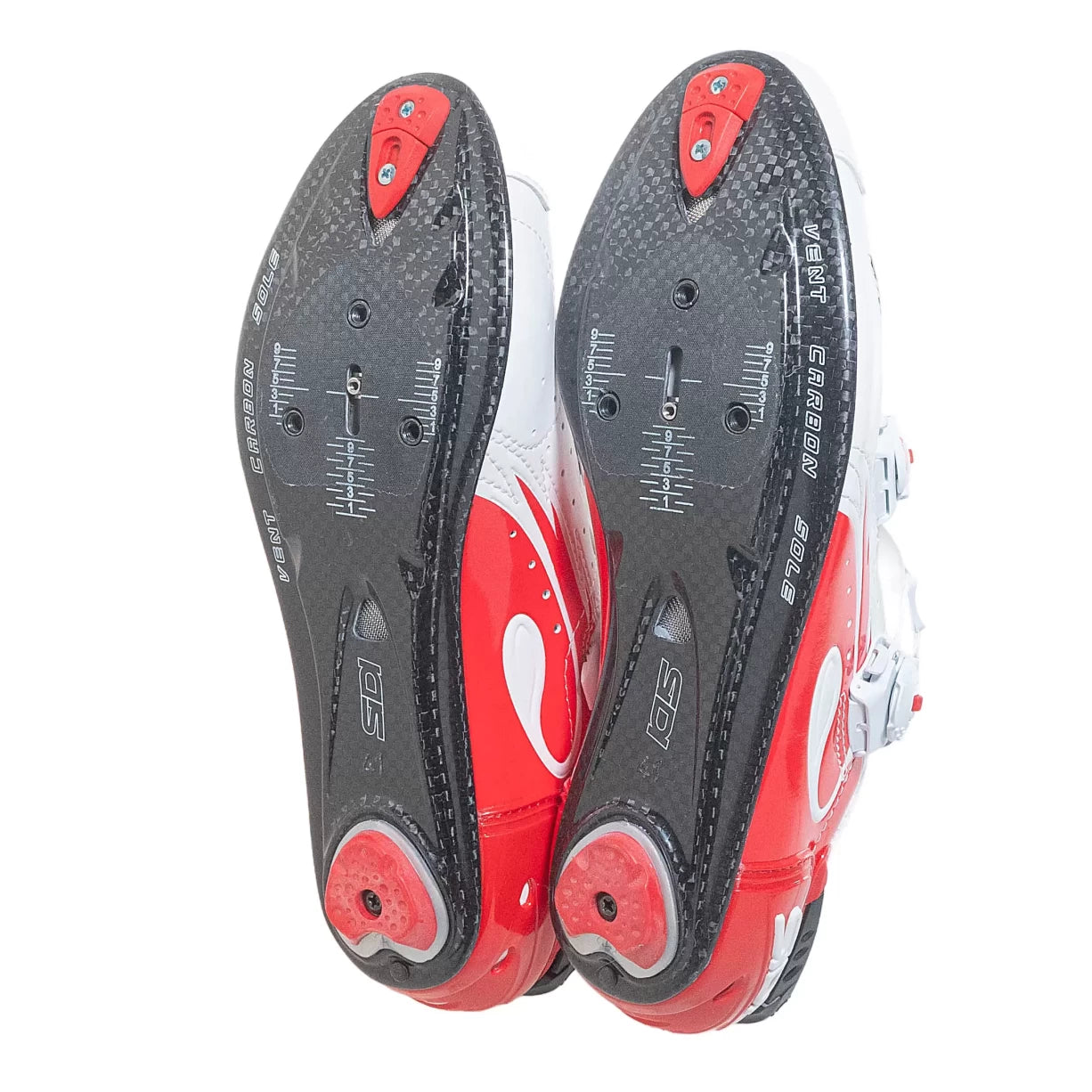 41.0White/Red