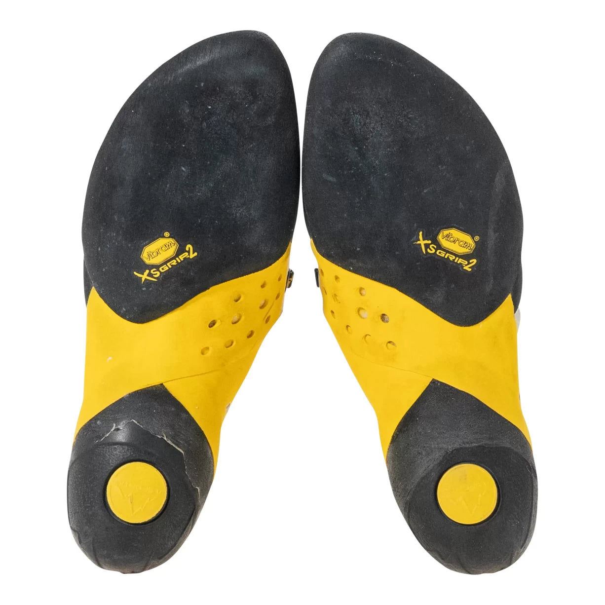 40.5Yellow/Black