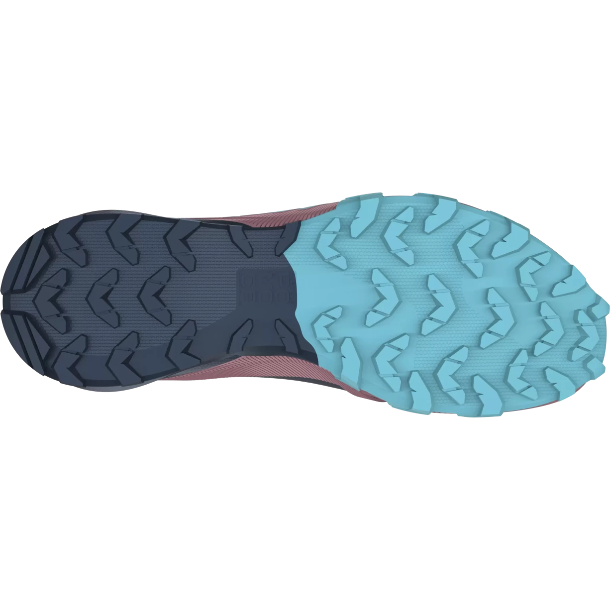 7Blueberry/Mokarosa