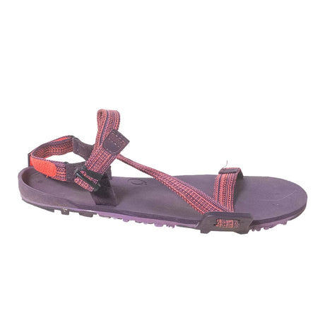 8Purple/Pink