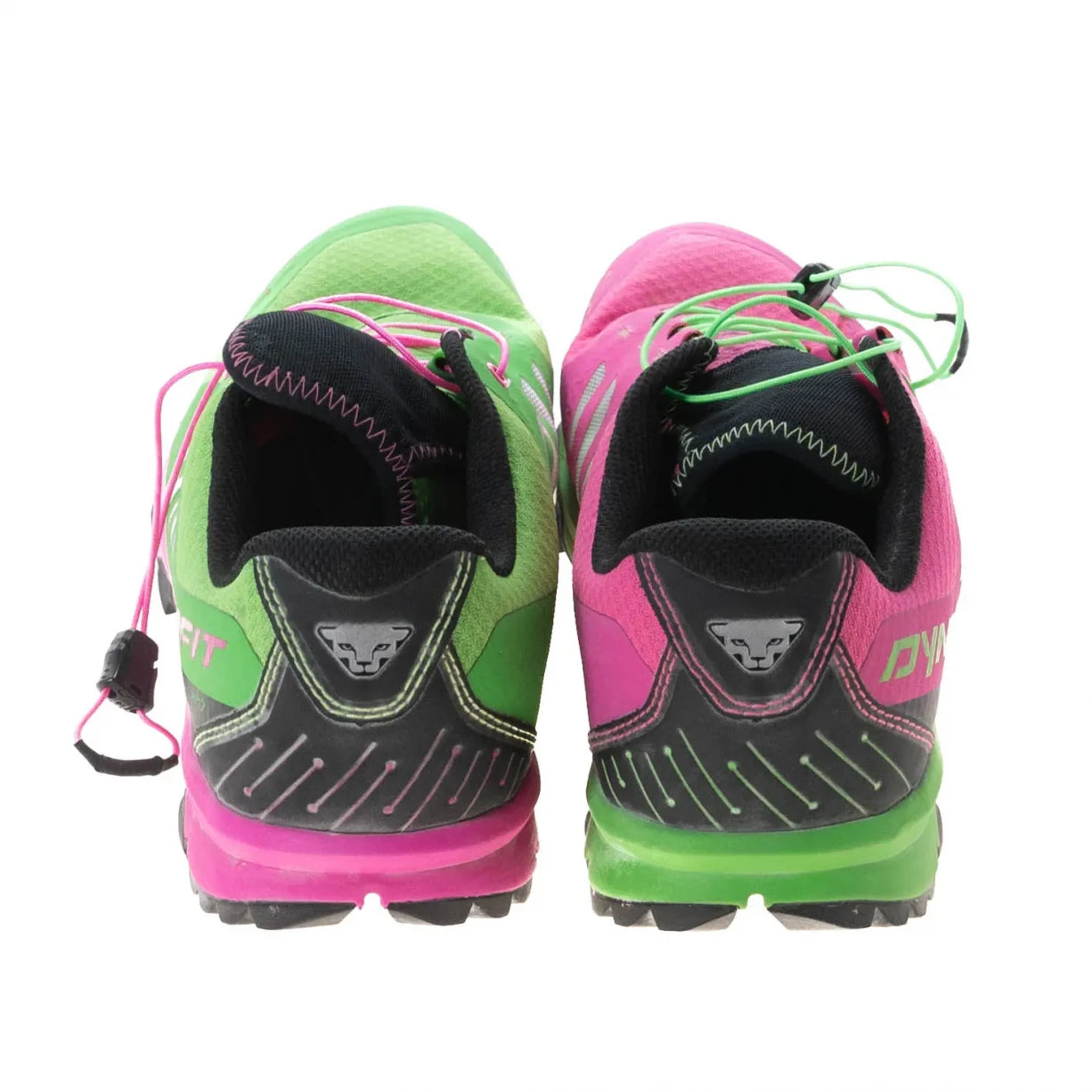 43.0Green/Purple