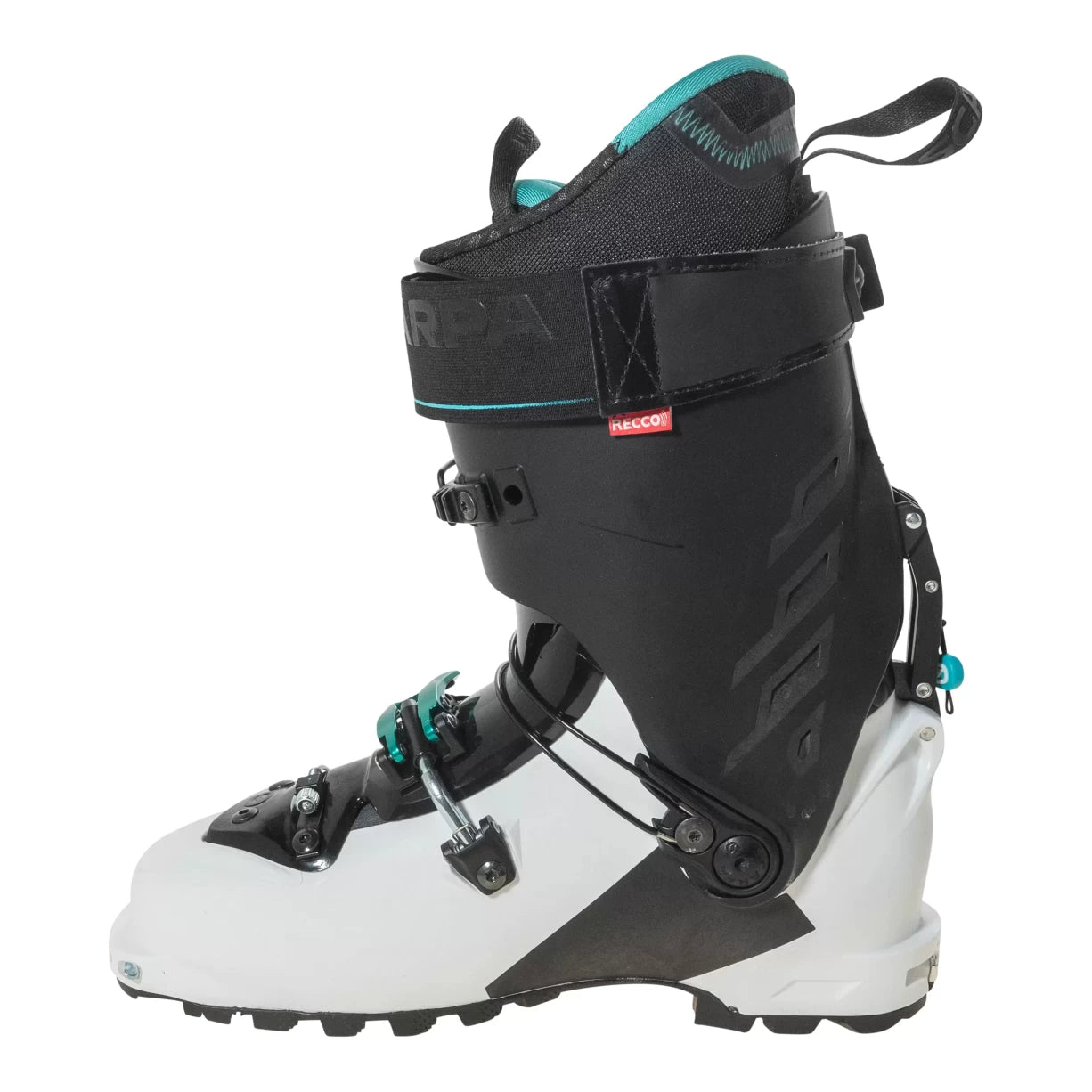 25.5White/Black
