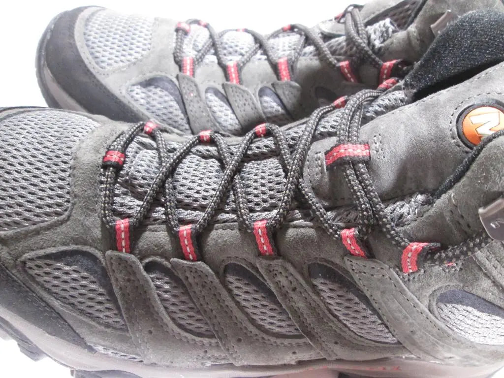 12Beluga