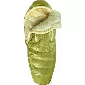 RegularBirch Bud