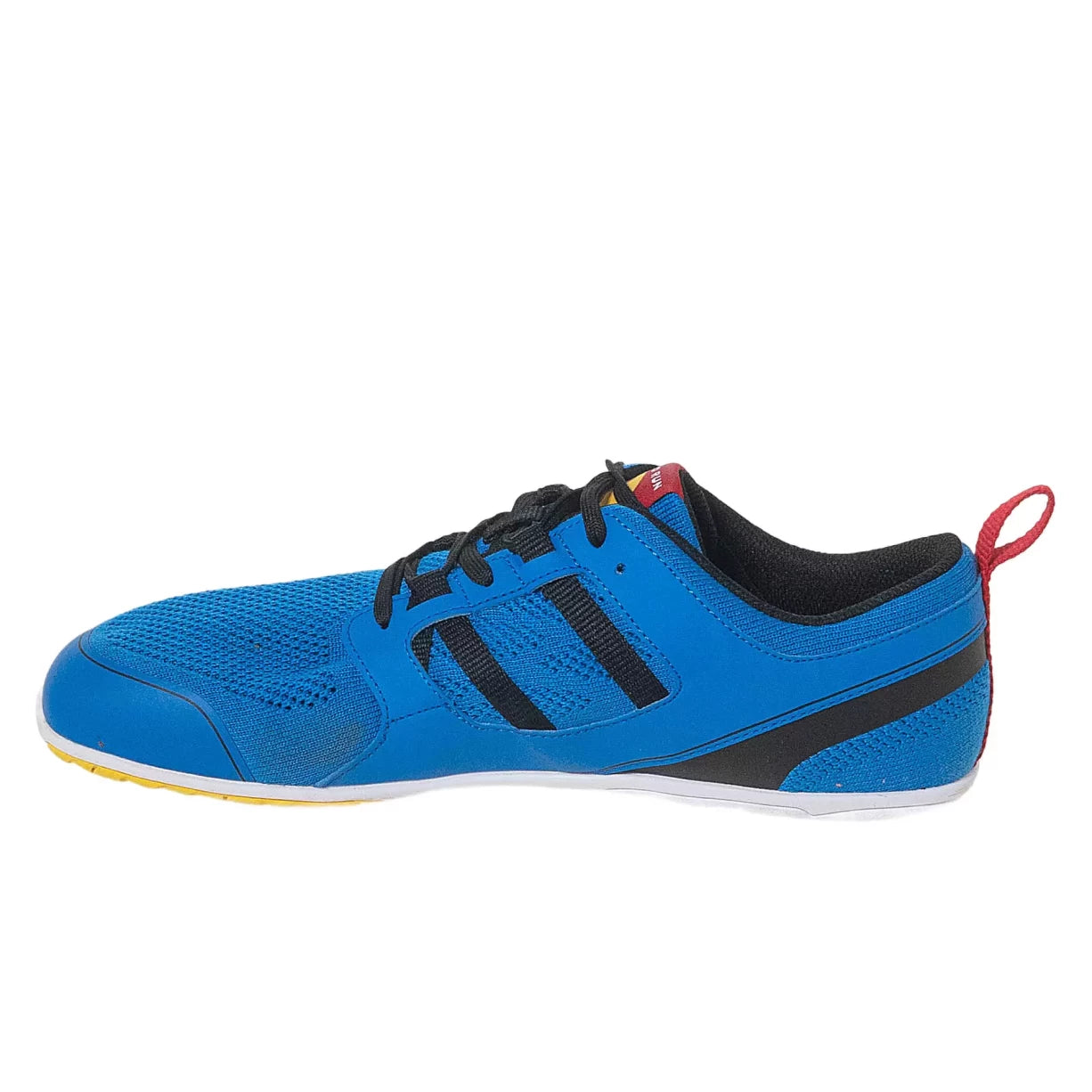 12Blue