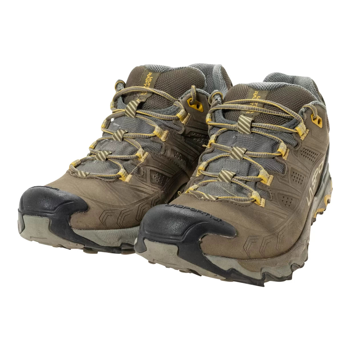 9.5Ivy Green