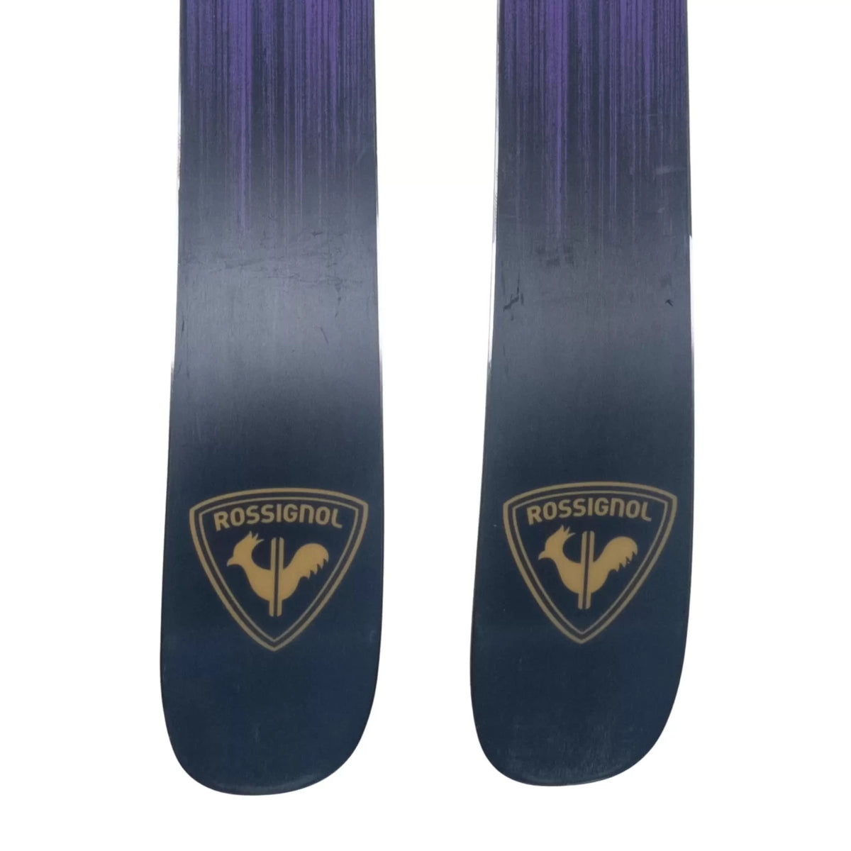 176Purple/Yellow