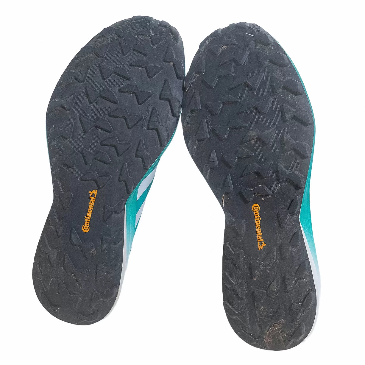 12Teal