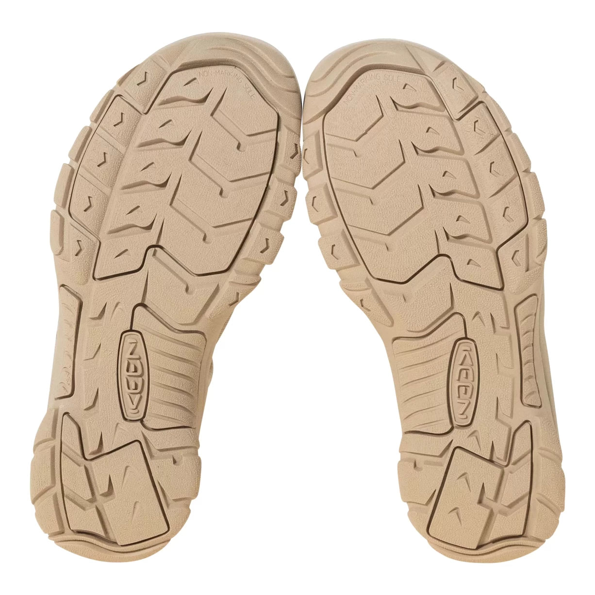 11.5Tan