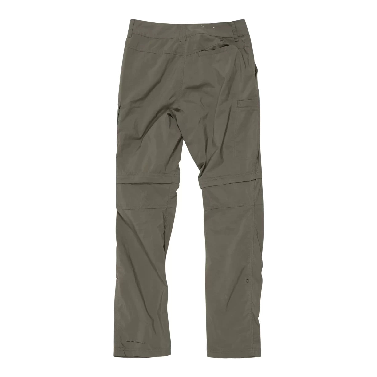 8Olive