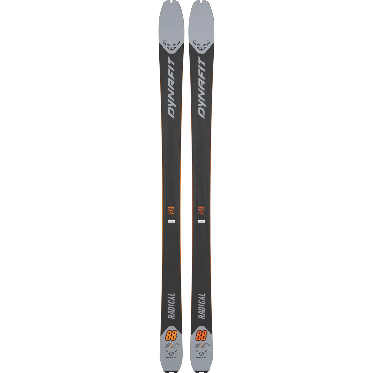 182cmMoon