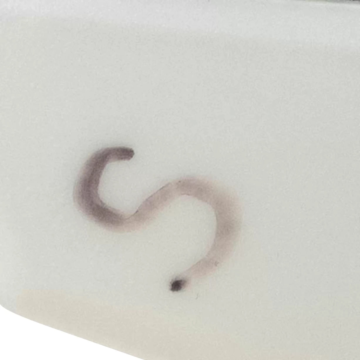 SWhite