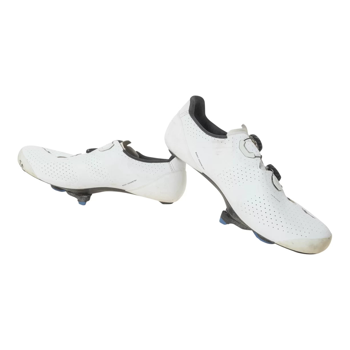 41.0White