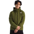 LForest Olive