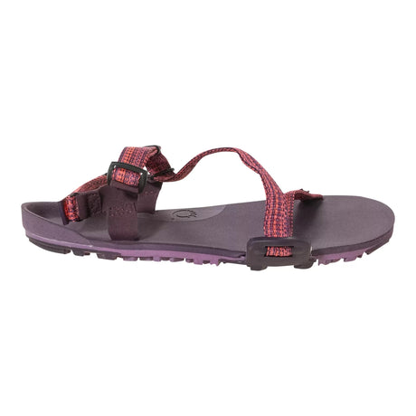 7Purple