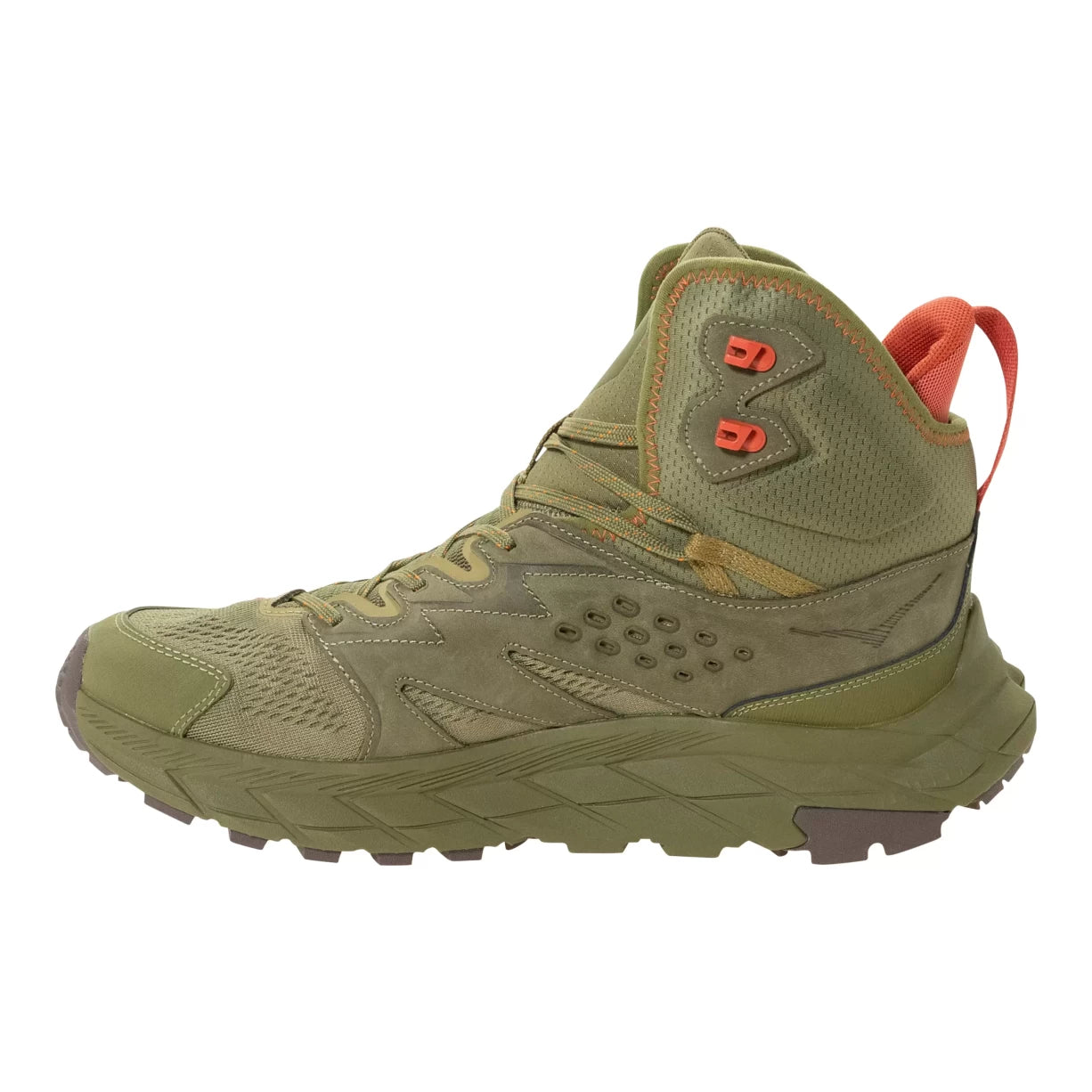 11.5Olive
