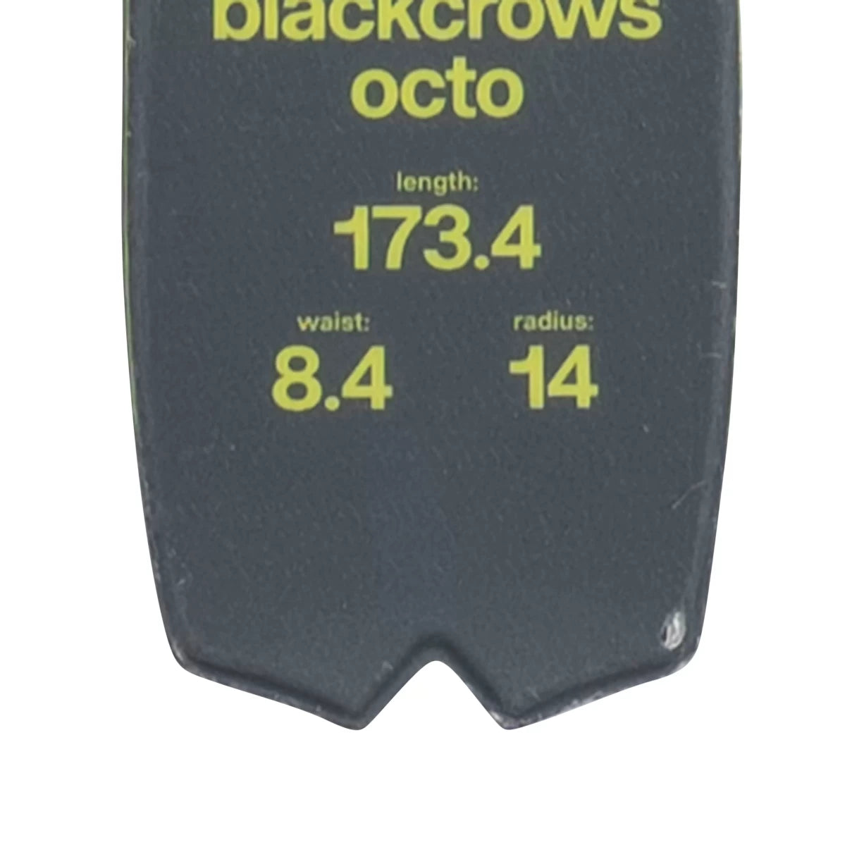 173cmGray/Green