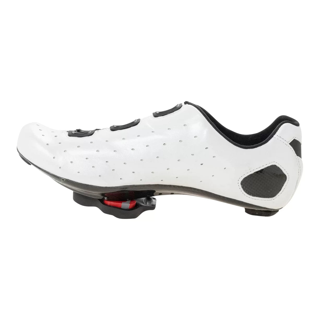 46.5White