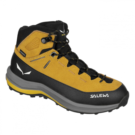 13.5Gold / Gold