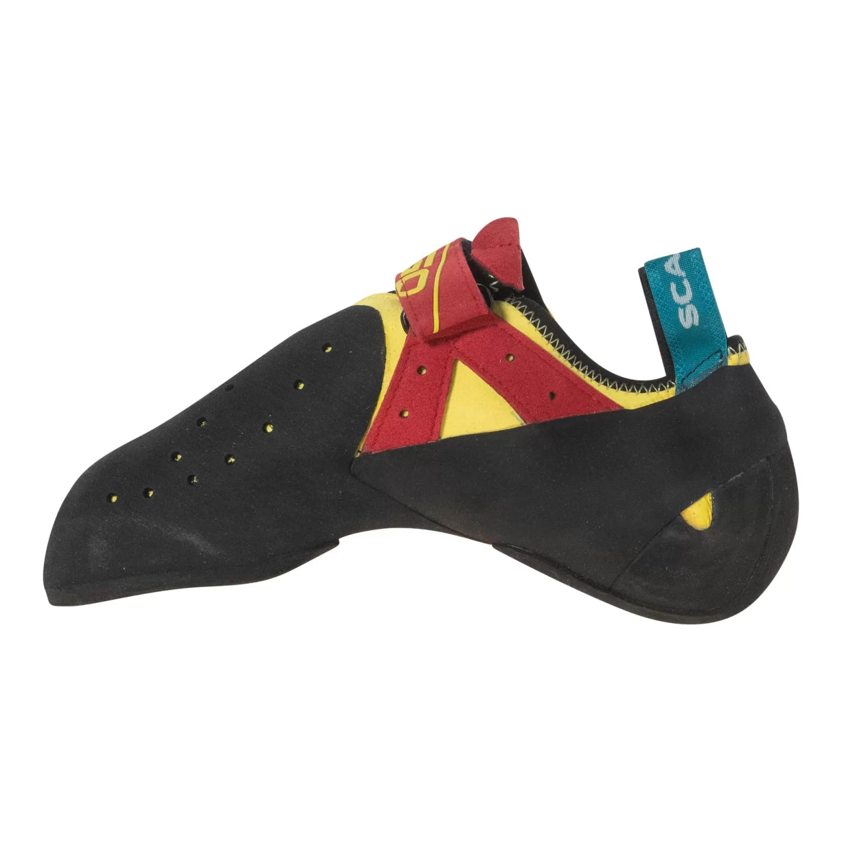43.0Yellow/Black