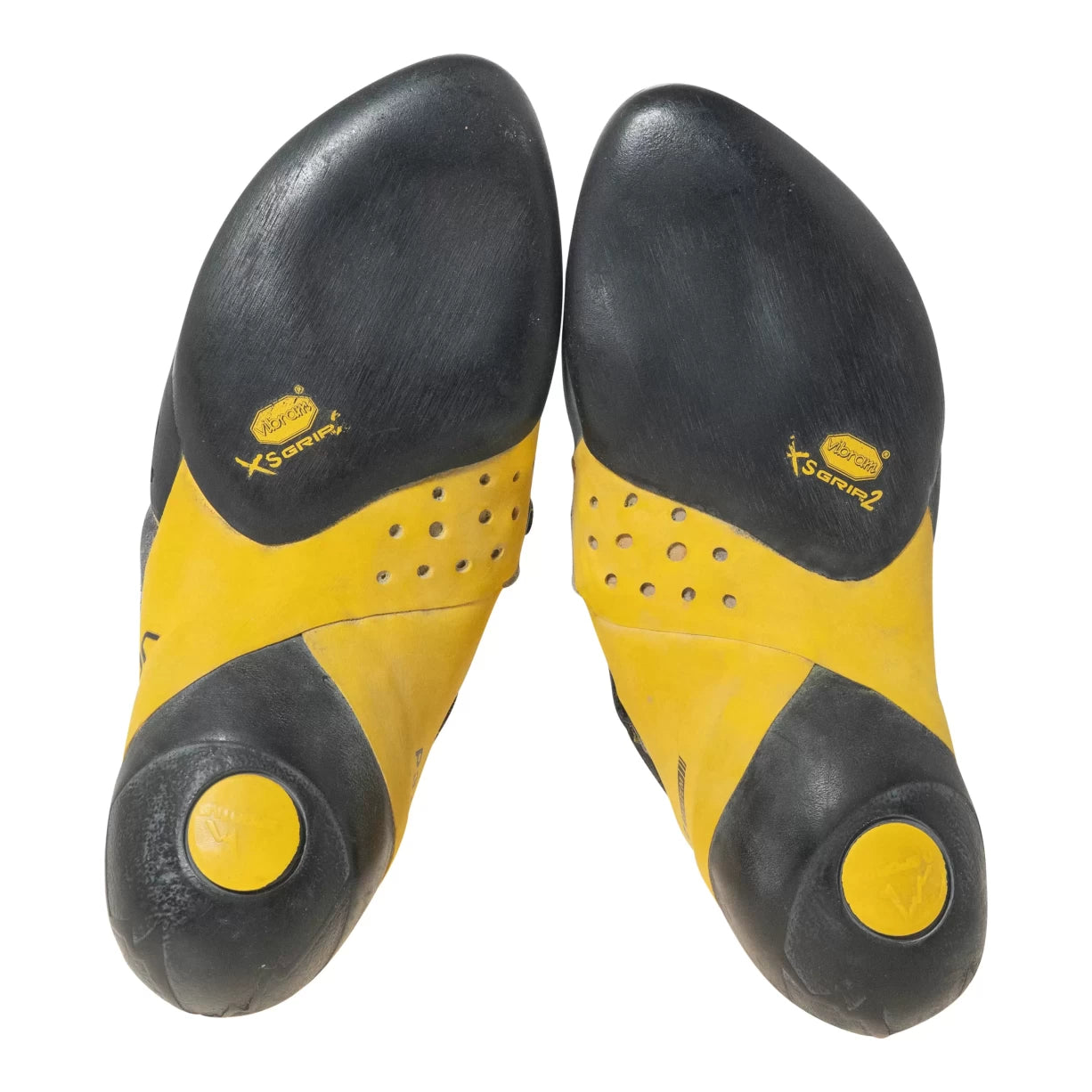 39.5White/Yellow