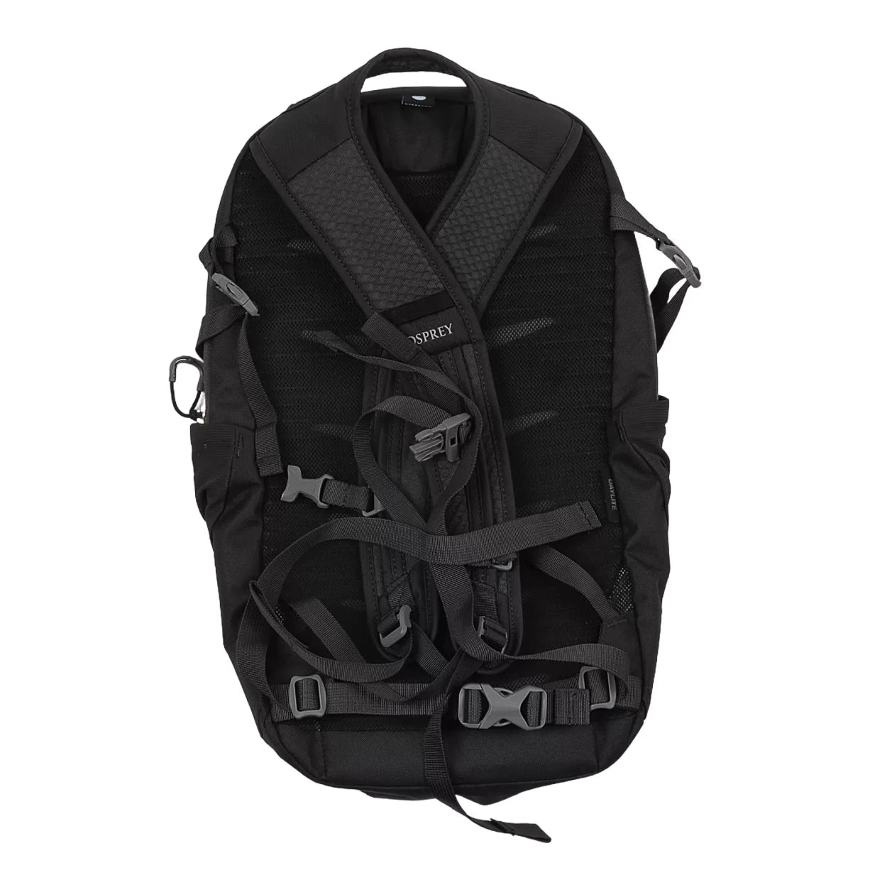 13 LBlack