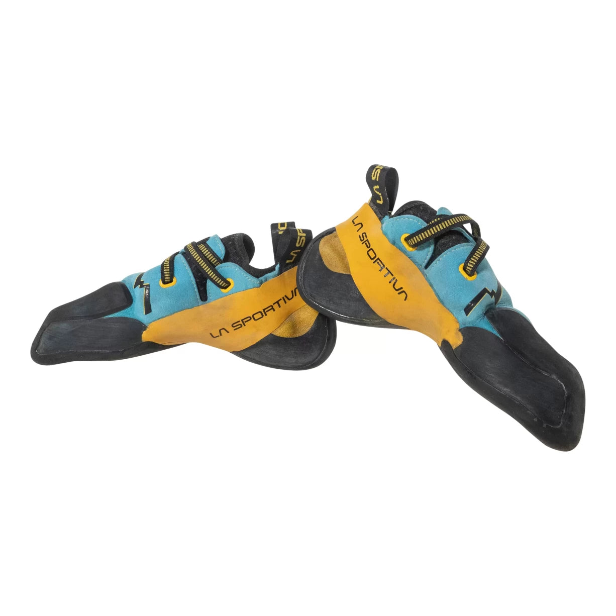 41.5Blue/Yellow