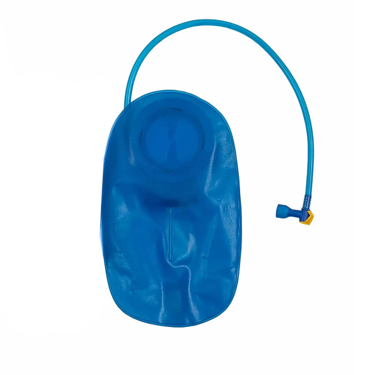 2 LBlue
