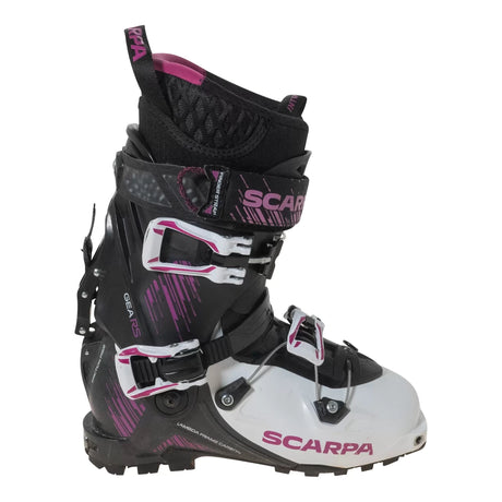 23.5Black/Purple
