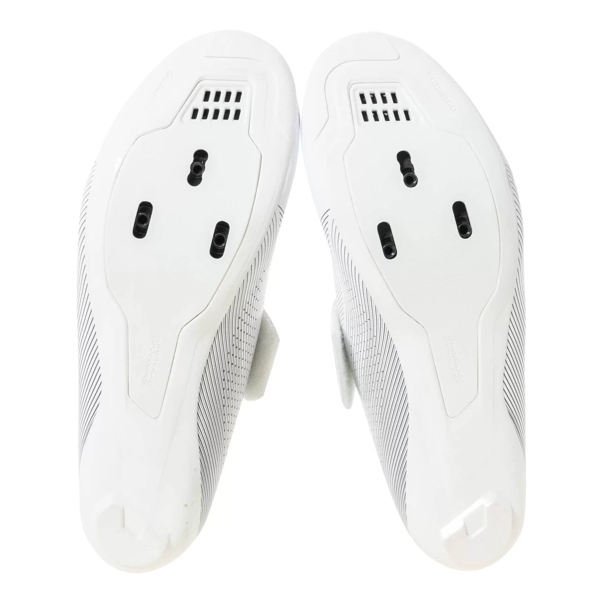 41.0White