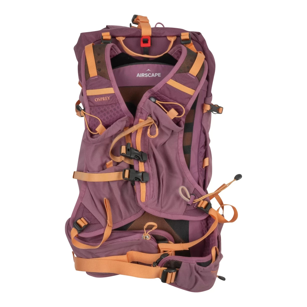 M/LPurple
