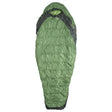 RegularGreen