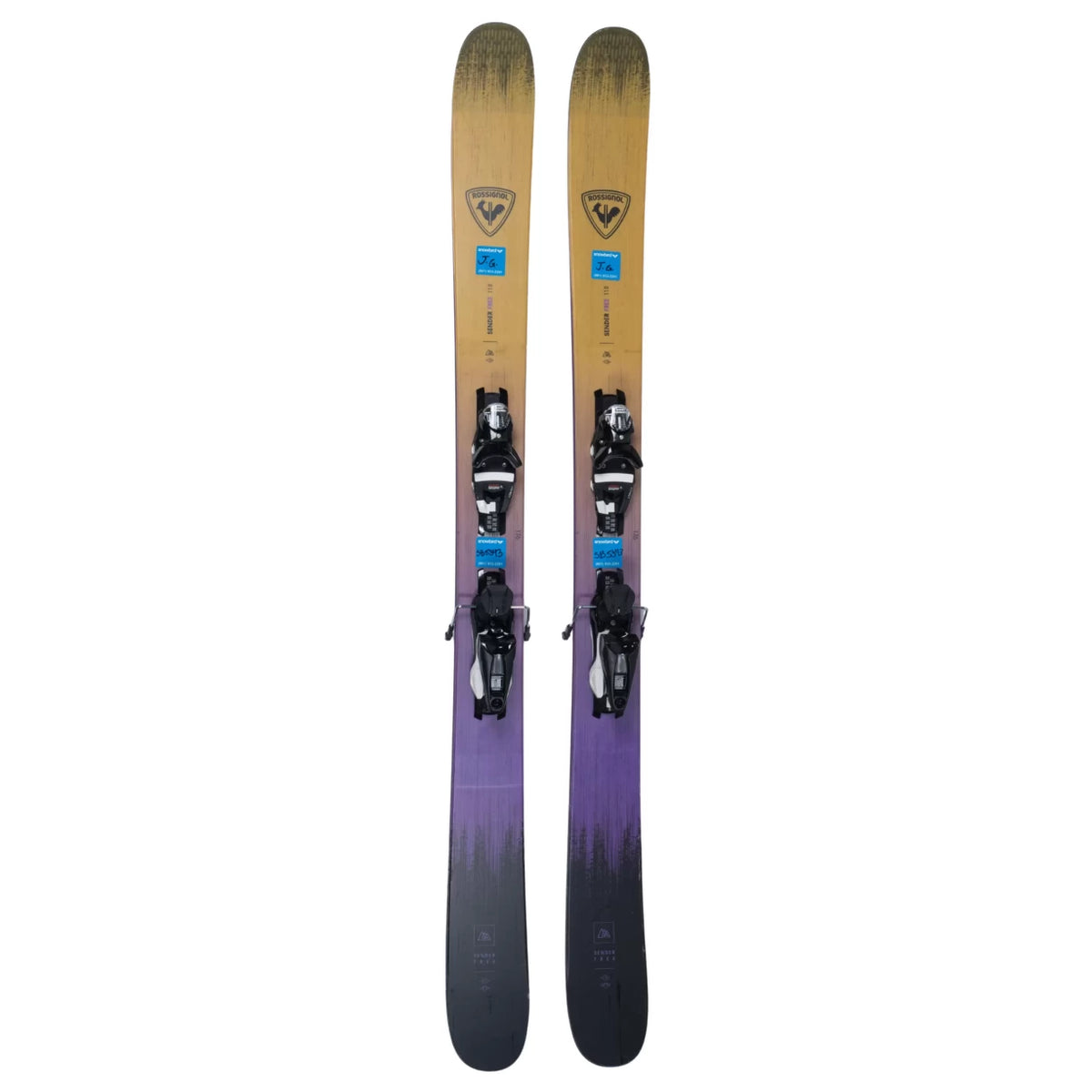 176Purple/Yellow
