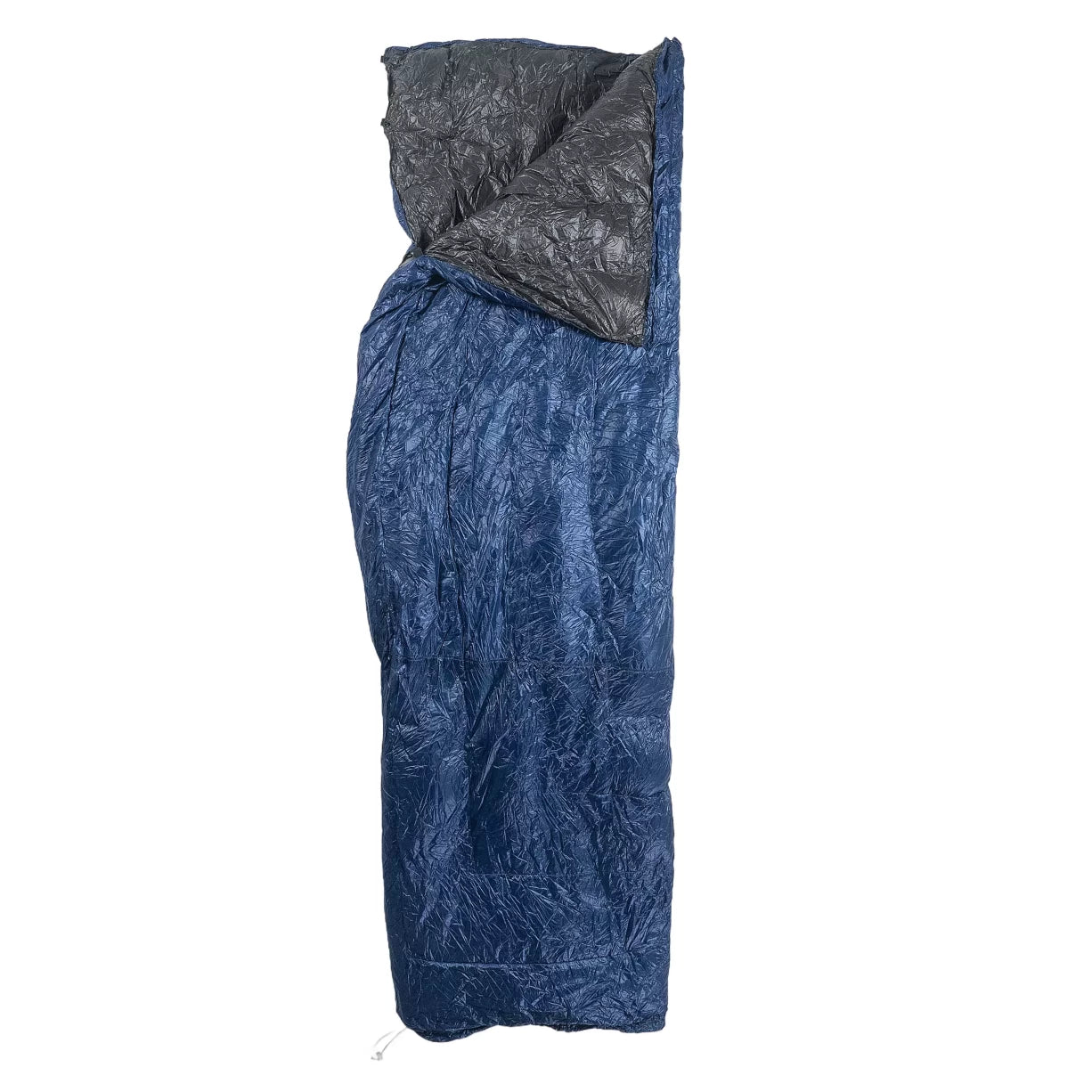 Regular WideBlue