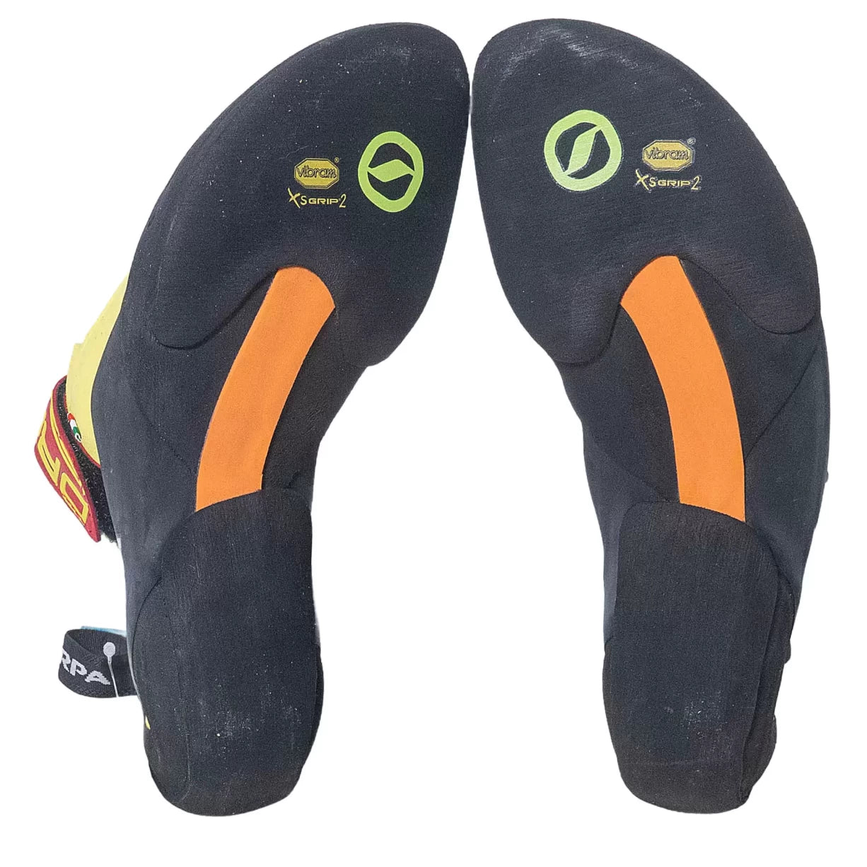 43.0Yellow/Black