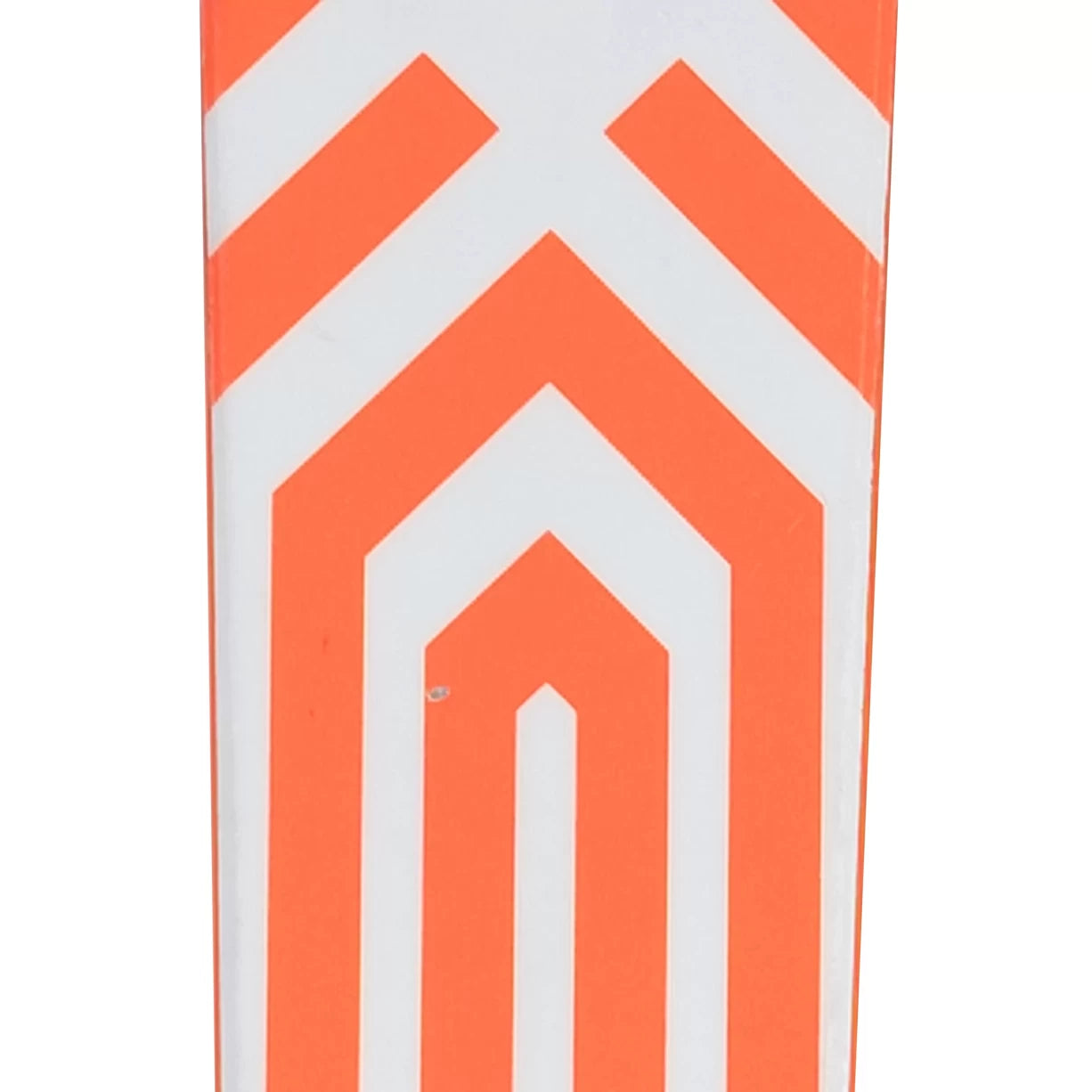 169cmCoral