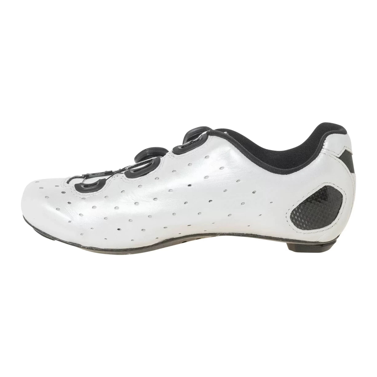 38.5White