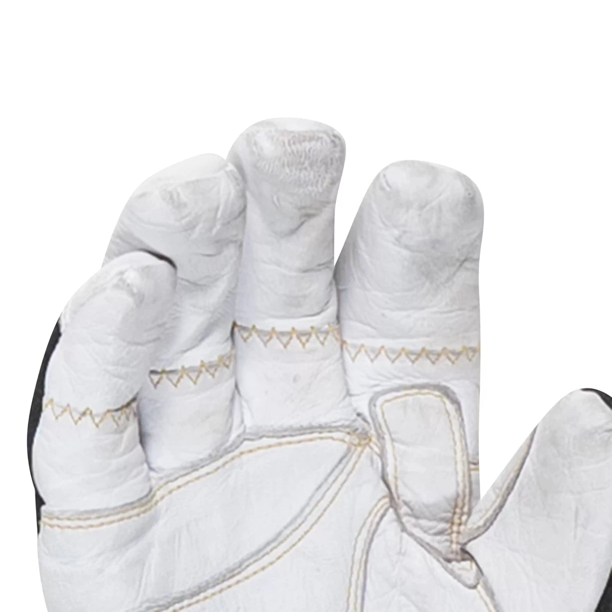 8White/Black