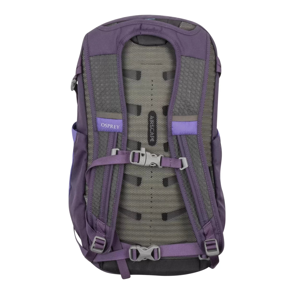 One SizePurple