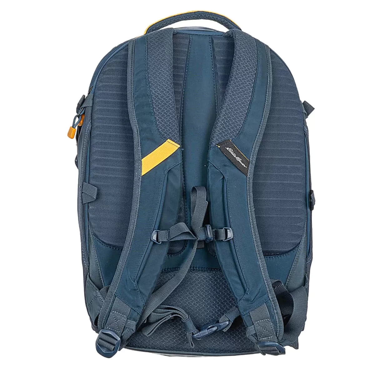 30 LBlue