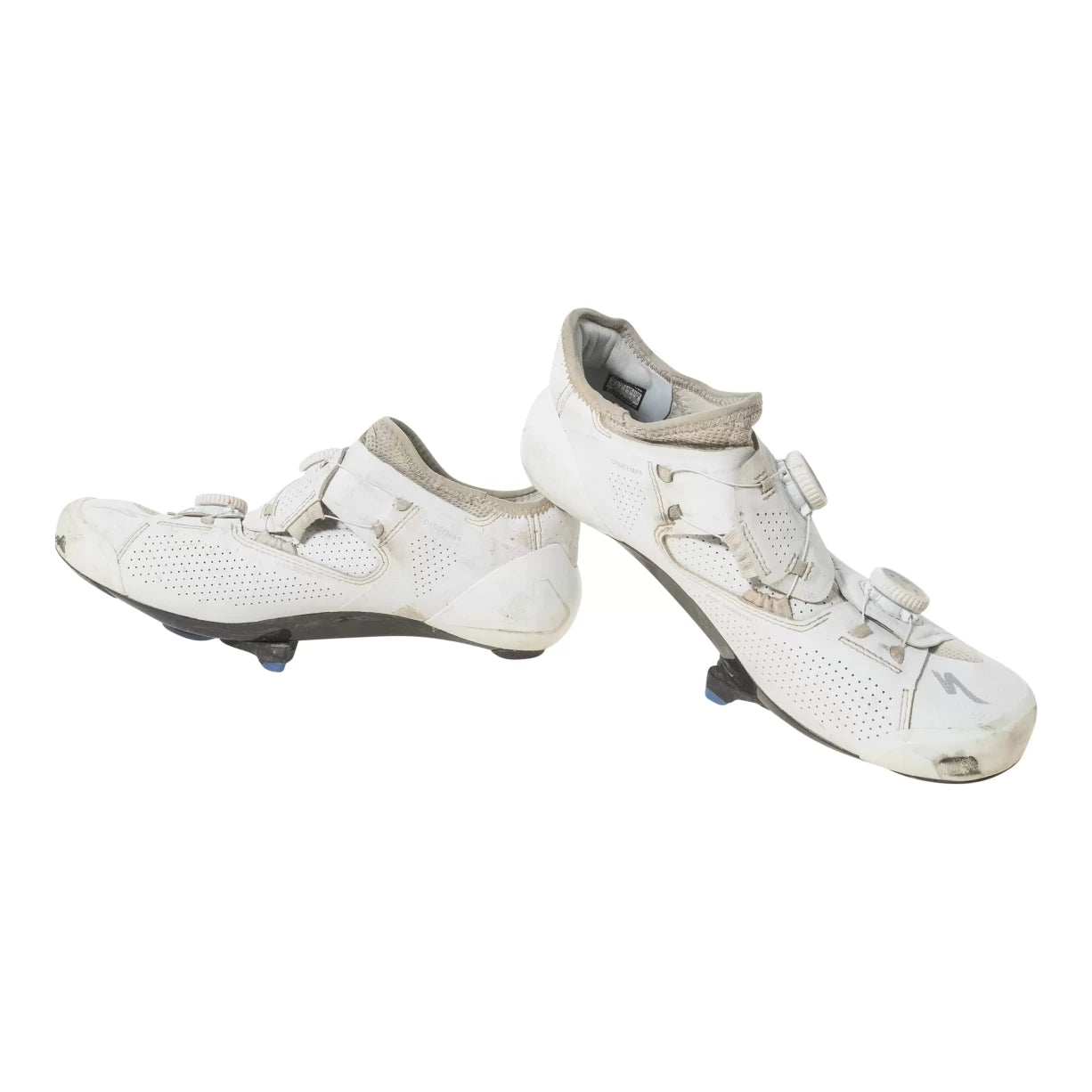 41.0White