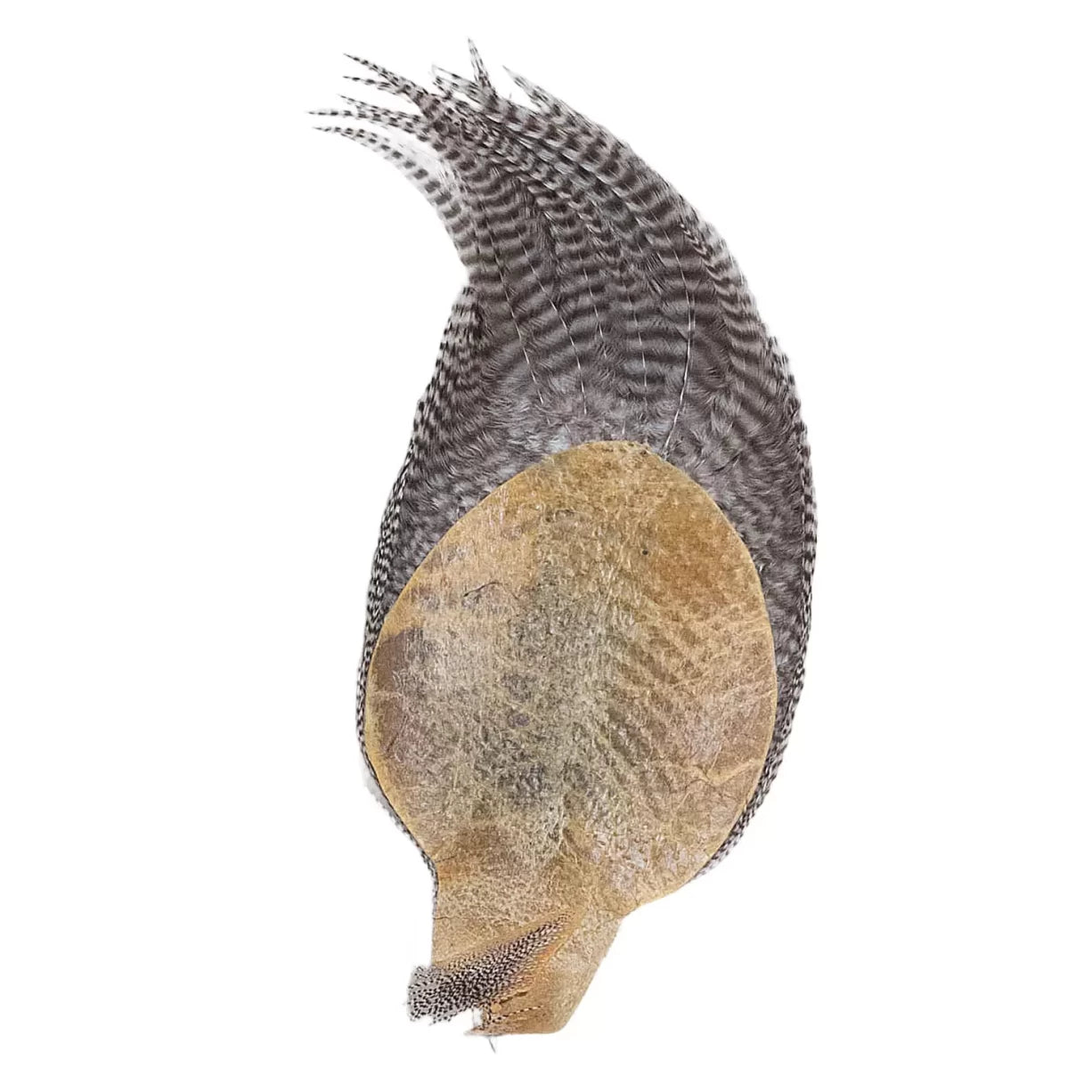 One SizeWhite / Brown