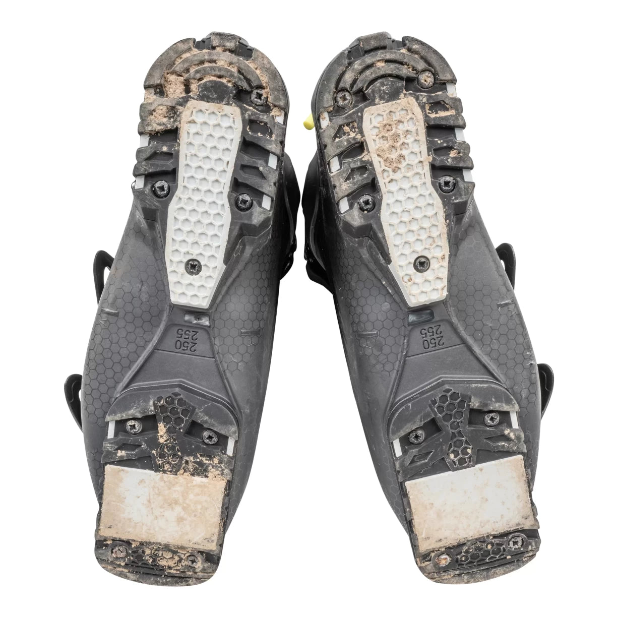 25.5Anthracite